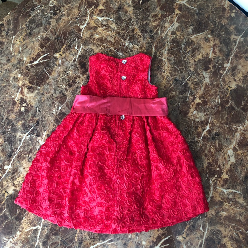 Picture Perfect! Red Rose Dress